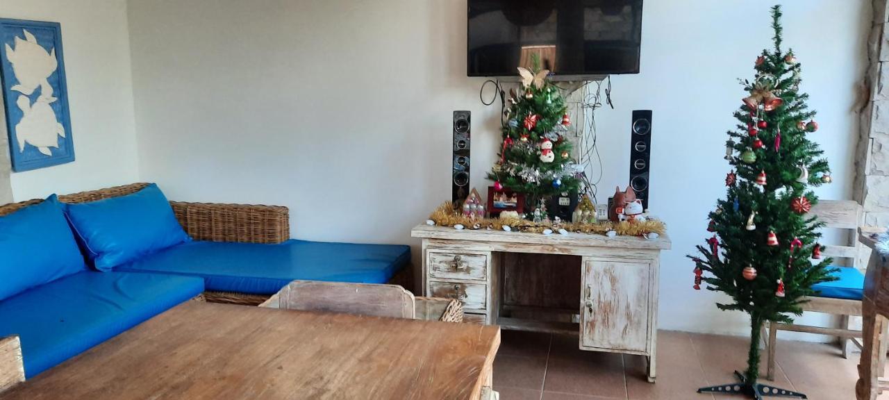 Turtle Island Homestay Sanur Exterior foto